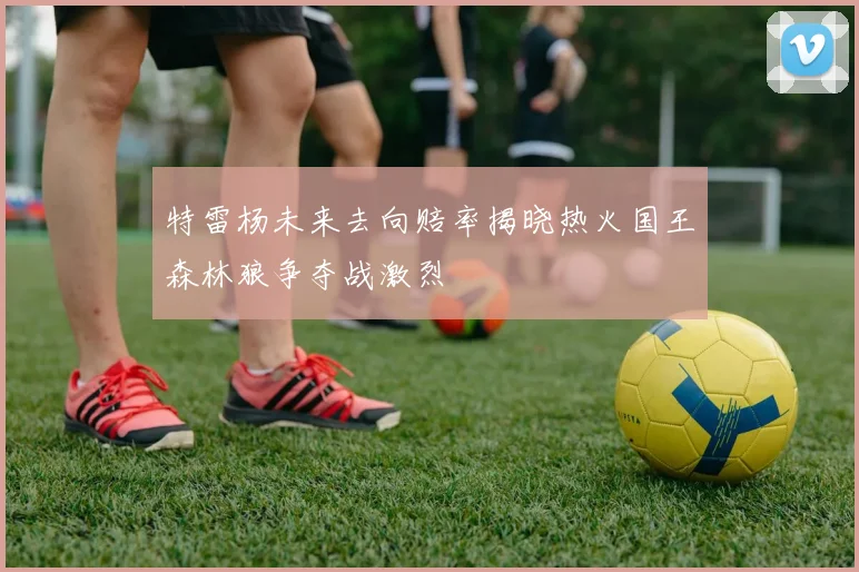 特雷杨未来去向赔率揭晓热火国王森林狼争夺战激烈